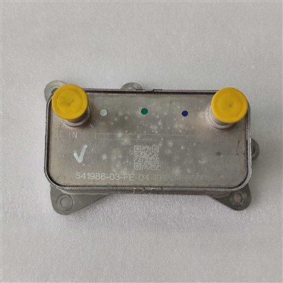 VT 5-0017- Fn Ford Dongfeng Land Wind için Soğutucu VT5 Şanzımanı